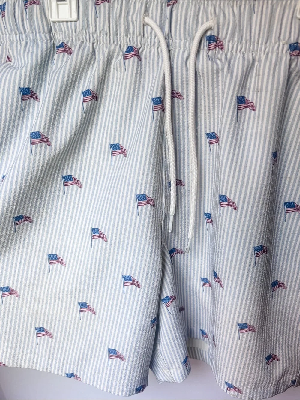 Mens Hollister Swim Trunk Stripes with Flag Print - Light Blue & White